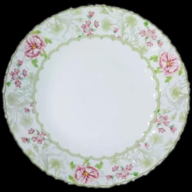 Plate CD321